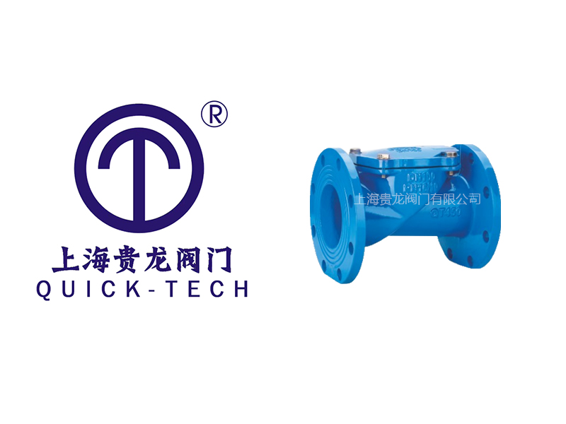 上海贵龙阀门有限公司橡胶瓣止回阀的特点！