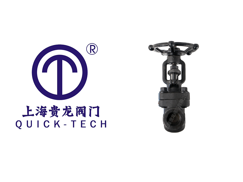 上海贵龙阀门有限公司承插焊截止阀的应用领域! 上海贵龙阀门有限公司承插焊截止阀的应用领域!