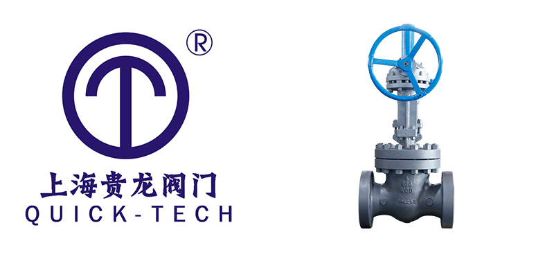 Y型过滤器拼图.jpg